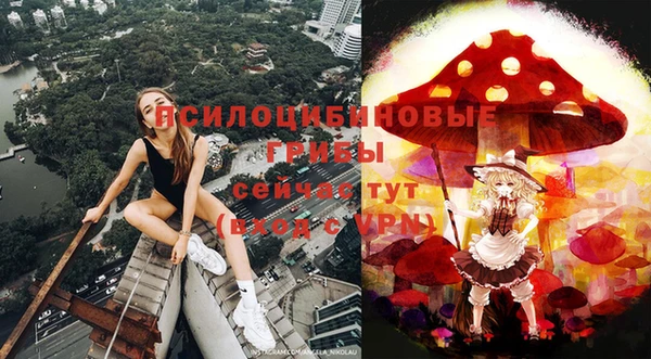 mix Надым