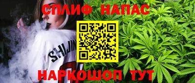 тгк Волгодонск