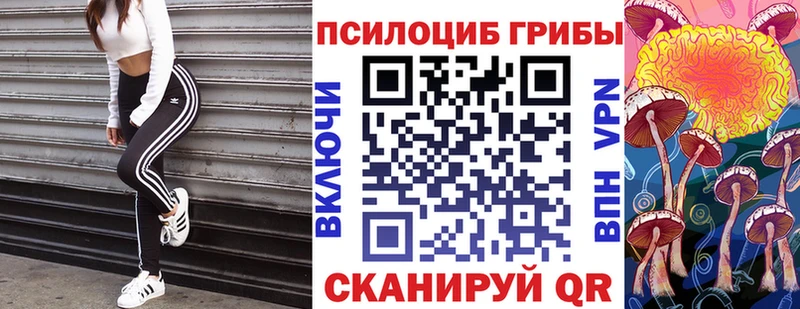 Галлюциногенные грибы мицелий Ефремов