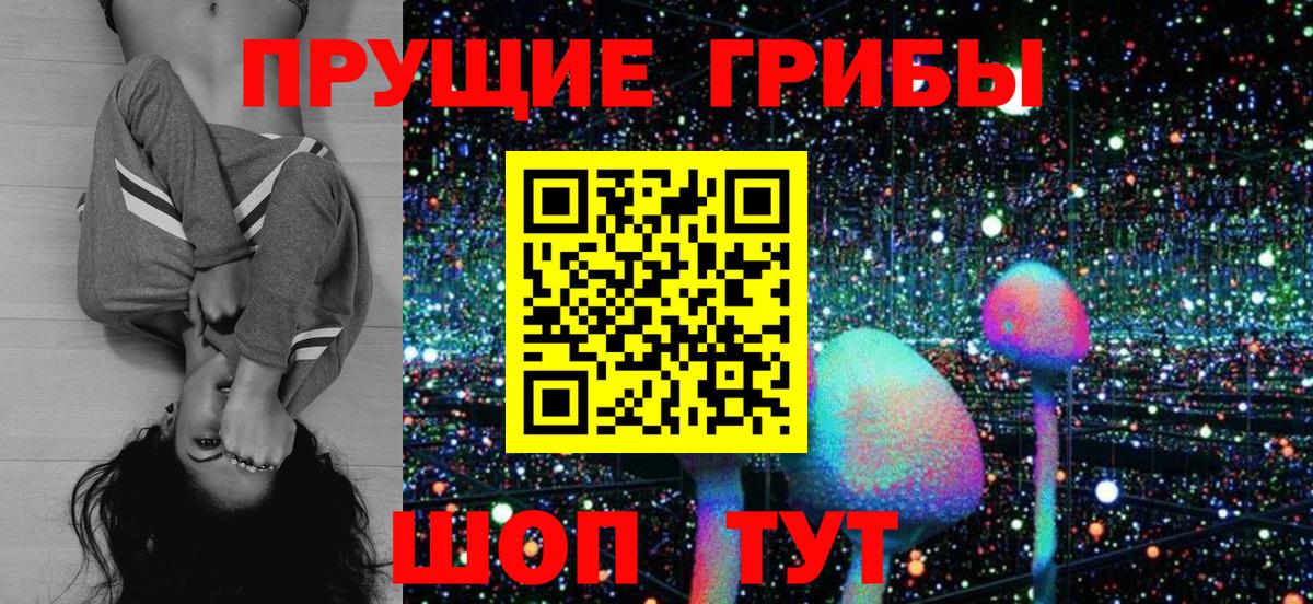 как найти наркотики  Вход с VPN  Псилоцибиновые грибы ЛСД  Ефремов  Псилоцибиновые грибы GOLDEN TEACHER 